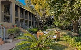 Amoris Guesthouse In Waterkloof Ridge